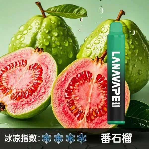 LANA8000口番石榴600x600jpgwebp | MEHA魅嗨台灣官方旗艦店 | 電子煙主機煙彈專賣
